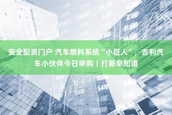 安全配资门户 汽车燃料系统“小巨人”，吉利汽车小伙伴今日申购丨打新早知道